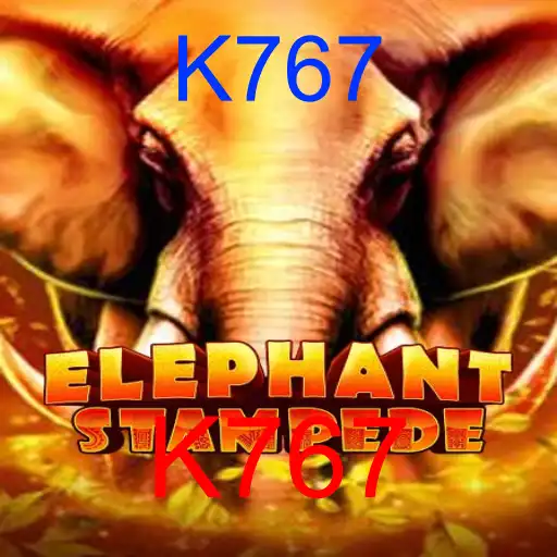 ElephantStampede